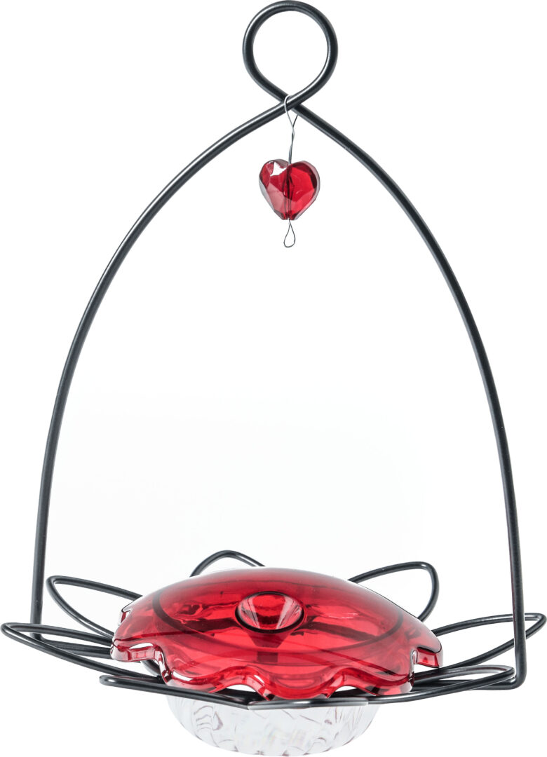 BIRD'S CHOICE DECORATIVE FLOWER HUMMINGBIRD FEEDER