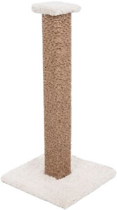 SCRATCH POSTS