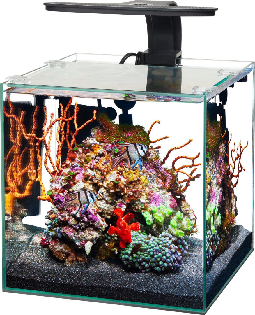 AQUEON FRAMLESS CUBE AQUARIUM
