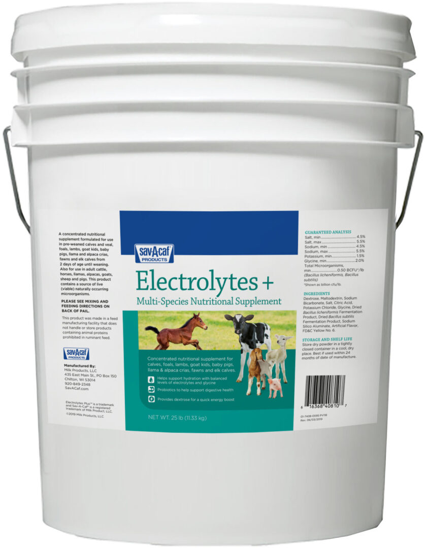 ELECTROLYTES PLUS MULTI-SPECIES SUPPLEMENT
