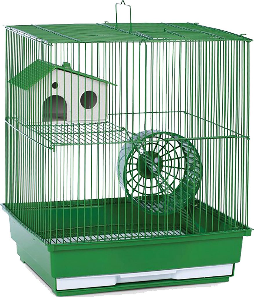A&E HAMSTER/GERBIL 2 LEVEL KIT My Pet Store and More Pet Supplies