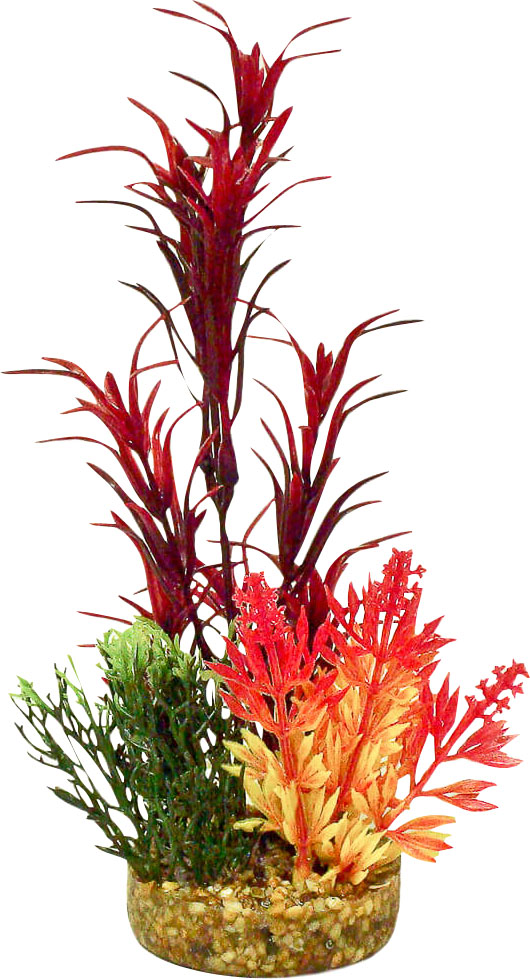 COLOR BURST FLORALS GARDEN BOUQUET PLANT My Pet Store and More Pet Supplies & Accessories