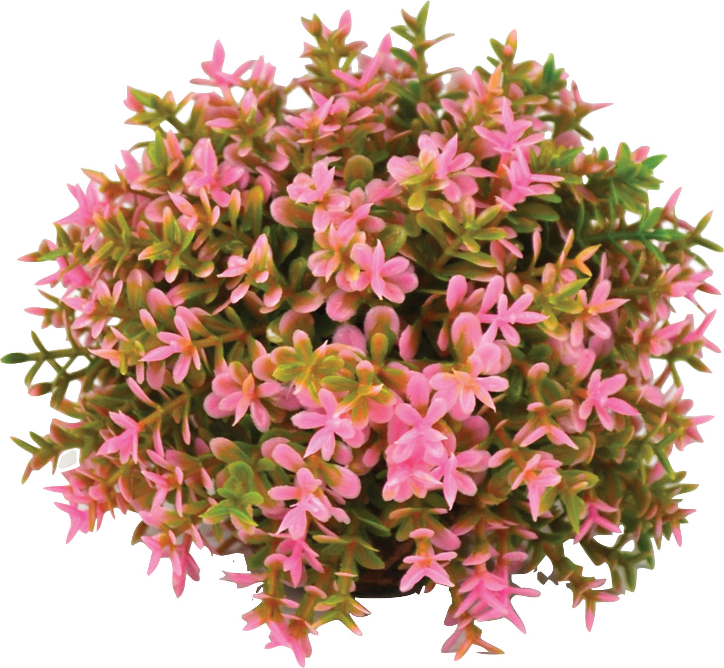 BIORB FLOWER BALL AQUARIUM PLANT My Pet Store and More Pet Supplies