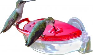 HUMMINGBIRD FEEDERS-PLASTIC
