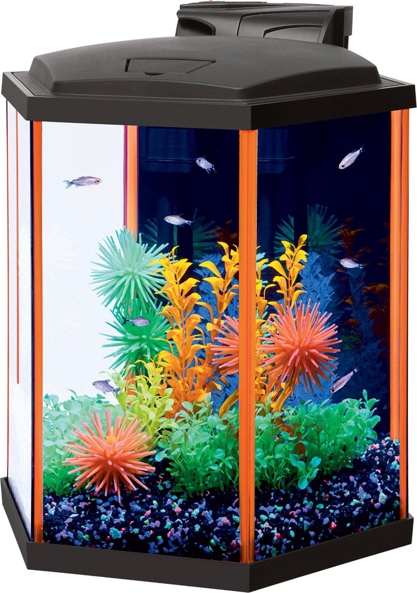 Aquatic Gardens Hexagon Fish Tank Fasci Garden