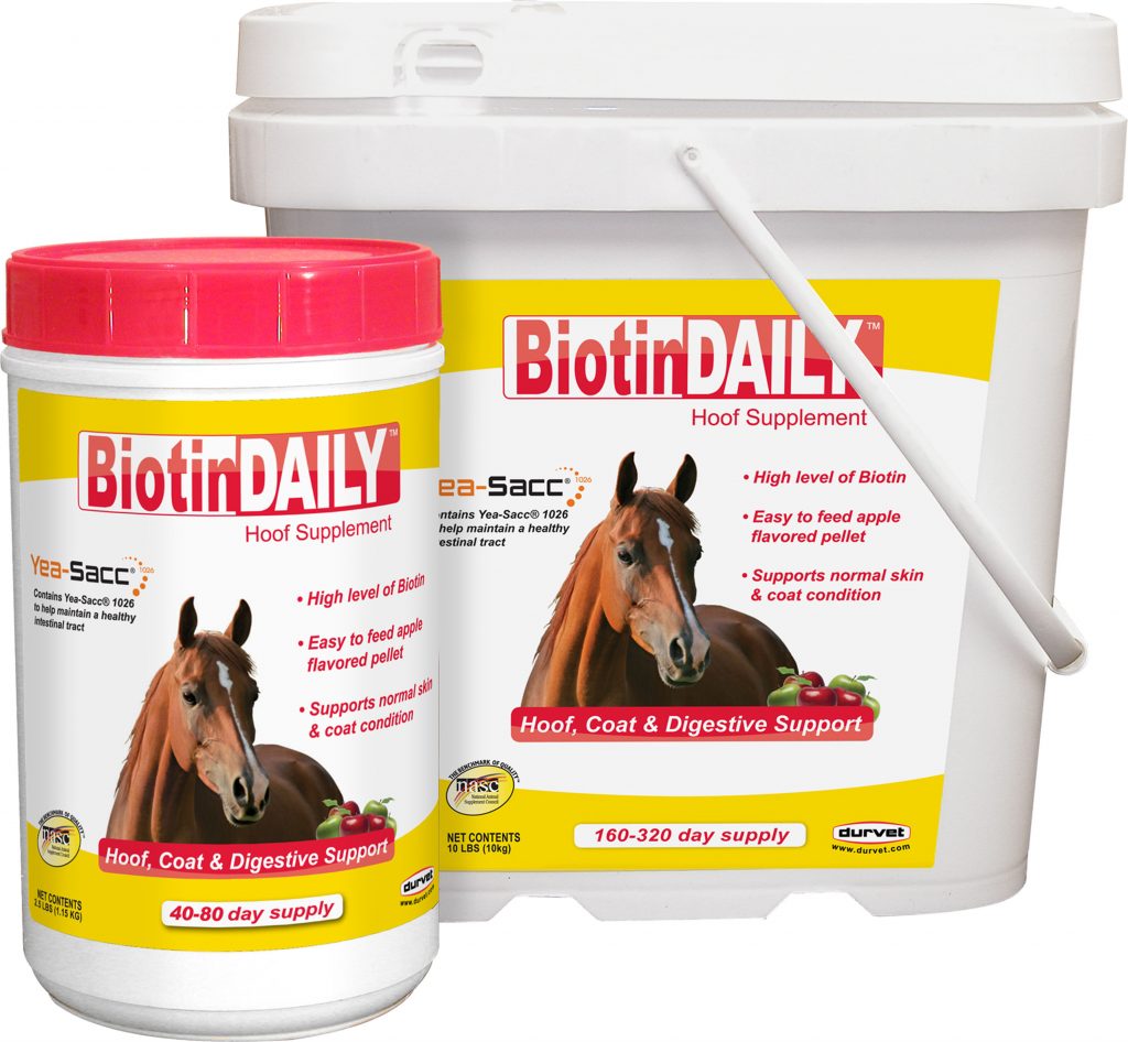 BIOTIN DAILY HOOF SUPPLEMENT FOR HORSES My Pet Store and More