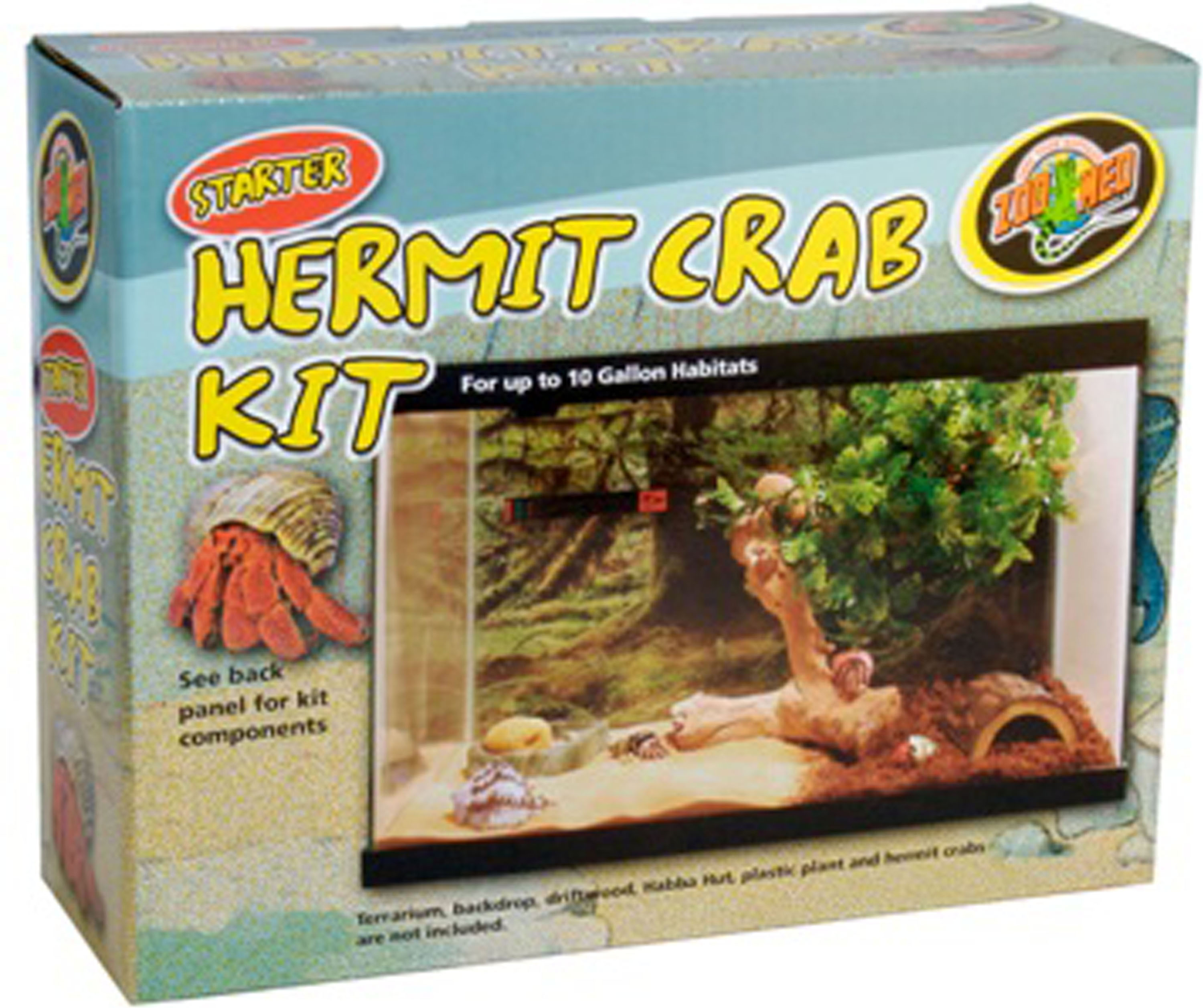 HERMIT CRAB STARTER KIT My Pet Store and More