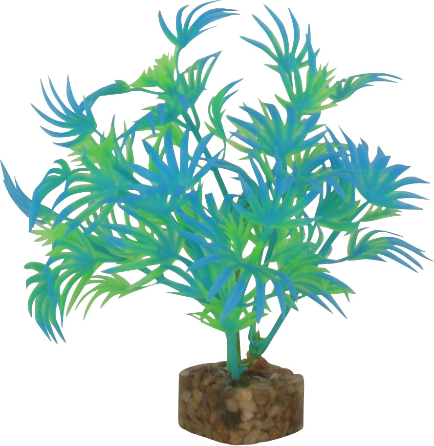 GLOFISH MULTICOLOR AQUARIUM PLANT My Pet Store and More Pet